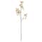 39" Blush Cherry Blossom Stem by Ashland®